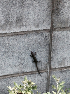 f0179947_2163622.jpg