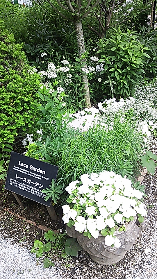 c0134850_15384515.jpg