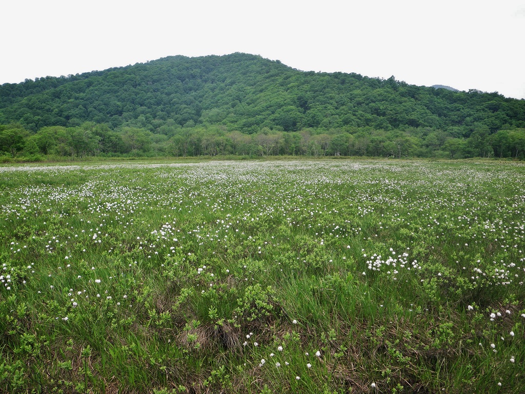 a0286351_125214.jpg
