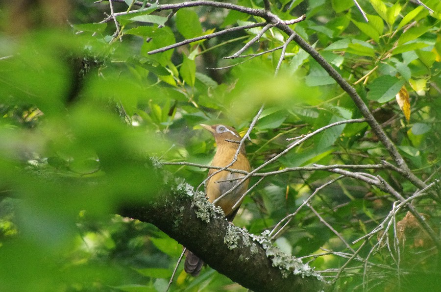 f0124451_555082.jpg