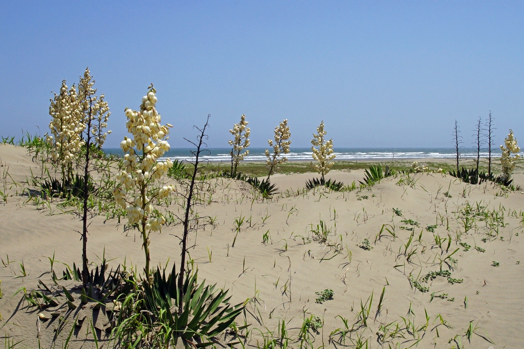 e0229455_21520145.jpg