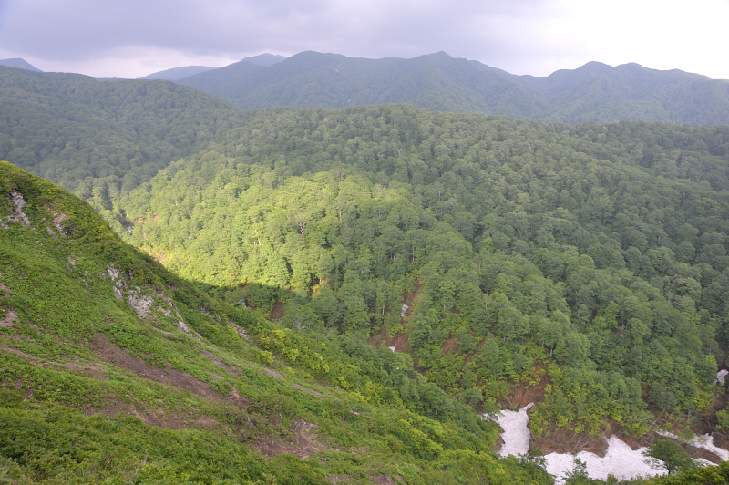 d0169556_2132980.jpg