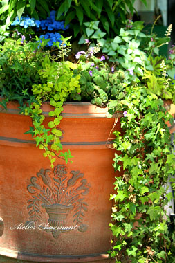 f0229759_1285050.jpg