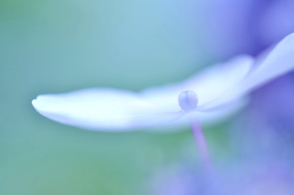 f0297861_1053751.jpg