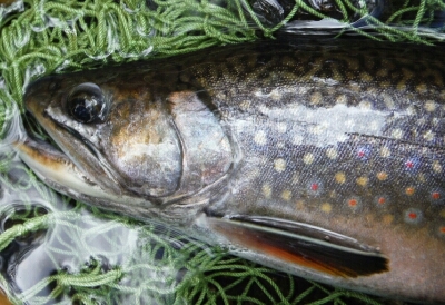 b0304662_110370.jpg