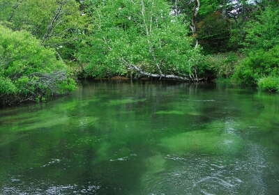 b0304662_1152792.jpg