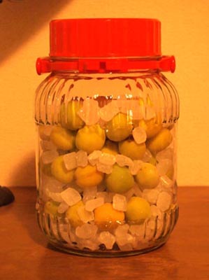 c0011862_13363897.jpg