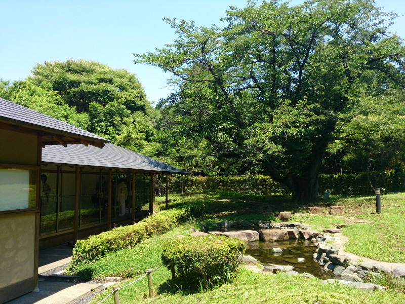a0073065_1252661.jpg