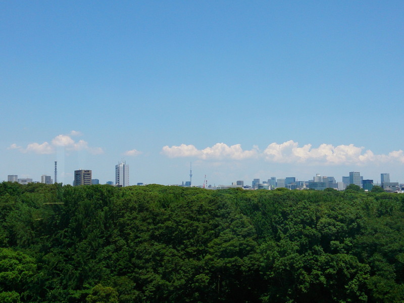 a0073065_1255414.jpg