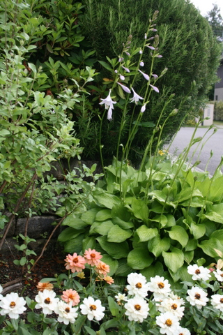 c0248269_8503137.jpg
