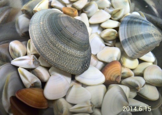 c0309870_10034079.jpg