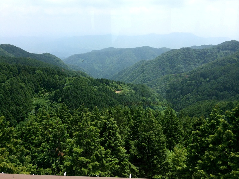 c0177576_1032037.jpg