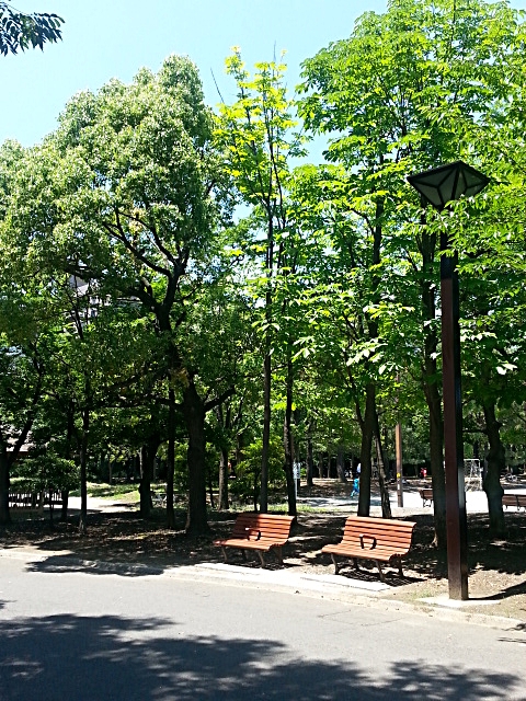 c0096685_21121632.jpg