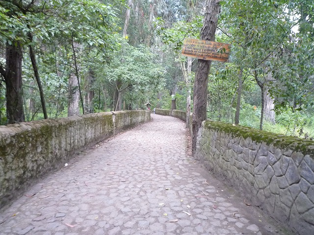 b0287088_21304432.jpg