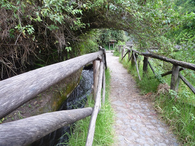 b0287088_21401551.jpg
