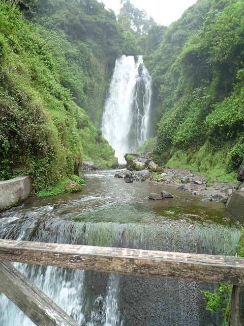 b0287088_21412483.jpg