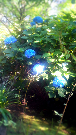 c0242791_2110561.jpg