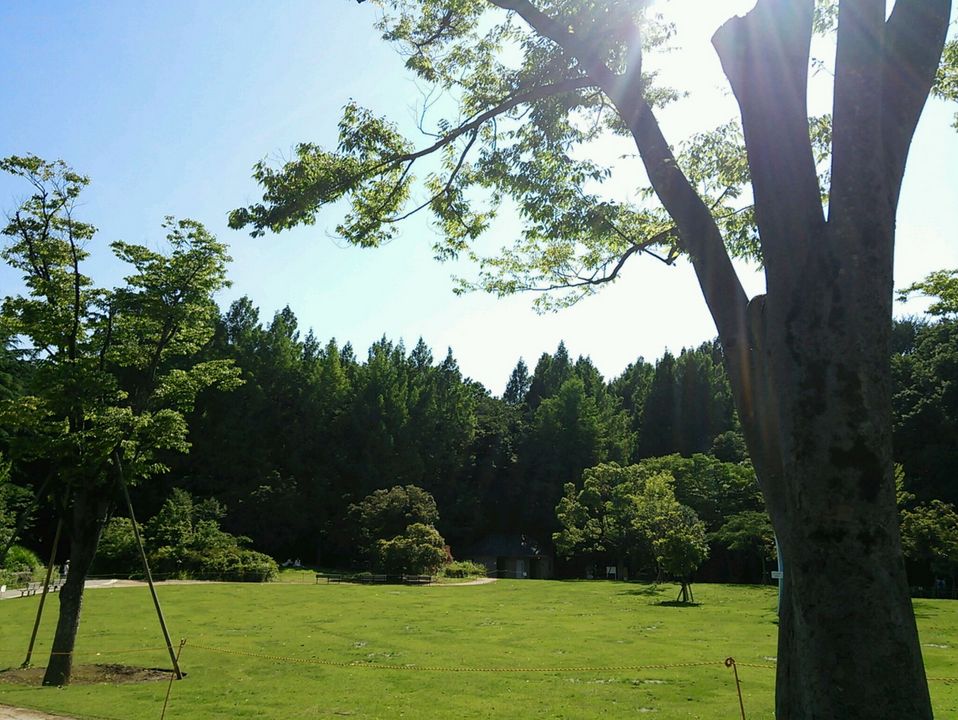 e0199691_030225.jpg