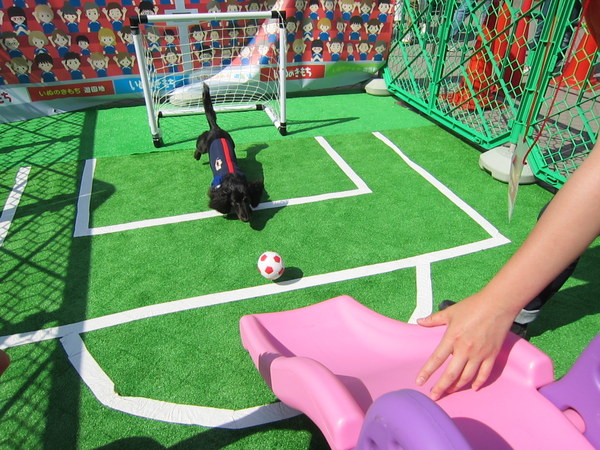 d0098295_23423287.jpg