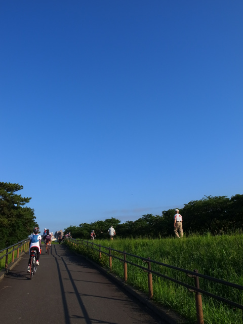 d0081997_20150728.jpg