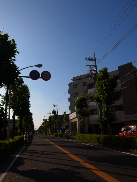 d0081997_20182165.jpg