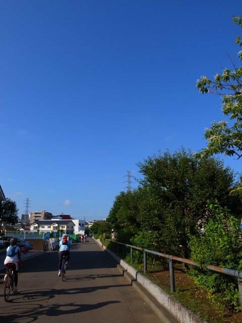 d0081997_20193218.jpg