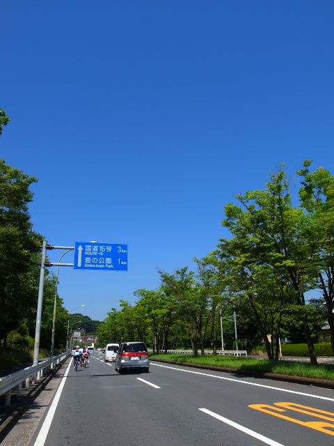 d0081997_20332482.jpg