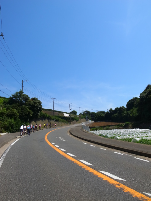 d0081997_21000595.jpg
