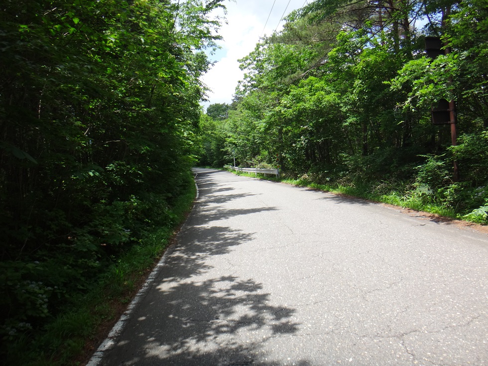 b0092300_10111062.jpg