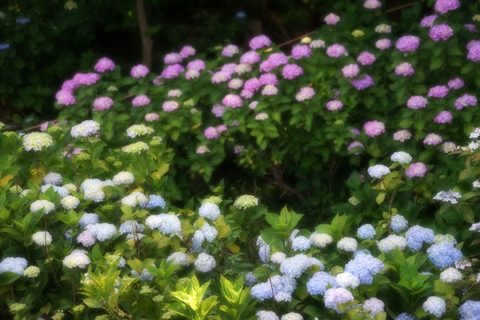 a0263109_144155.jpg