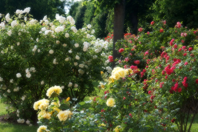 a0263109_1453149.jpg