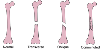 b0112009_0443234.png