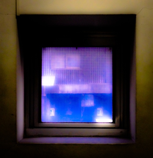 f0100510_9155344.jpg