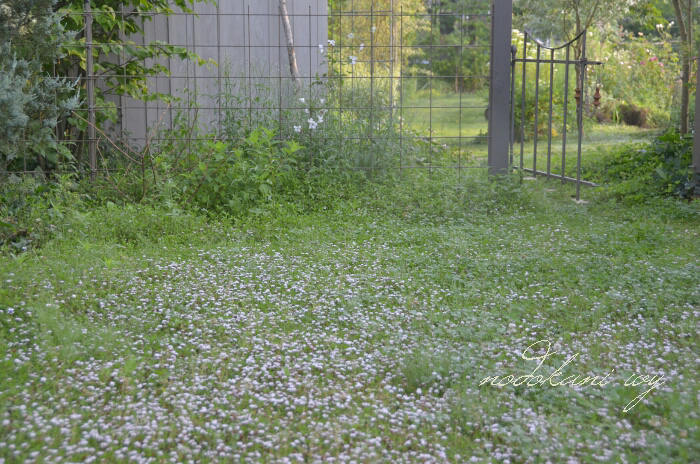 d0272423_6341981.jpg