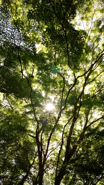 c0173826_855548.jpg