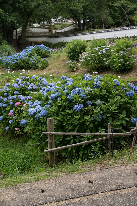 b0134829_2259429.jpg