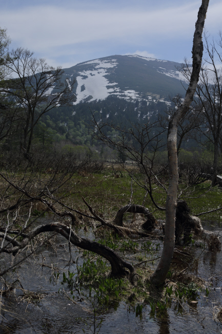f0017530_19351336.jpg