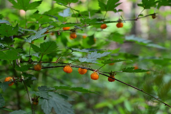 b0236334_22471139.jpg