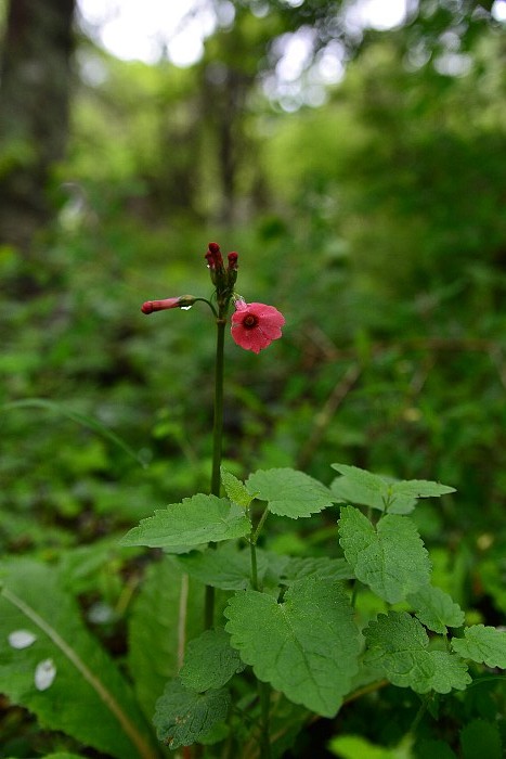 b0236334_22472470.jpg