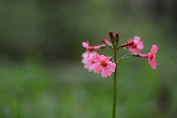 b0236334_22472928.jpg
