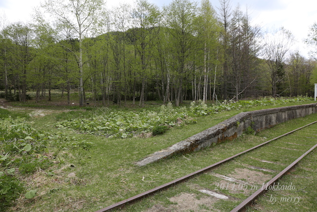 a0207736_22434319.jpg