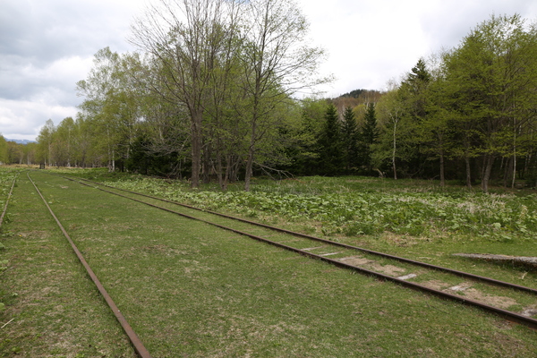 a0207736_22464238.jpg