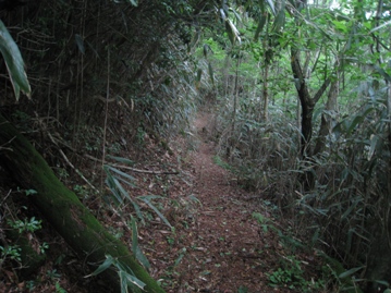 c0077338_6801.jpg