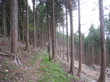 c0077338_68228.jpg
