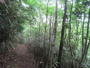 c0077338_683586.jpg