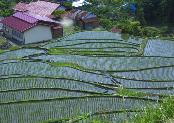 d0163550_21141270.jpg