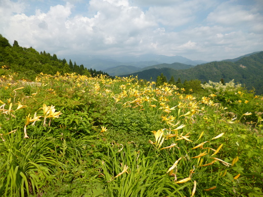 d0231858_649547.jpg