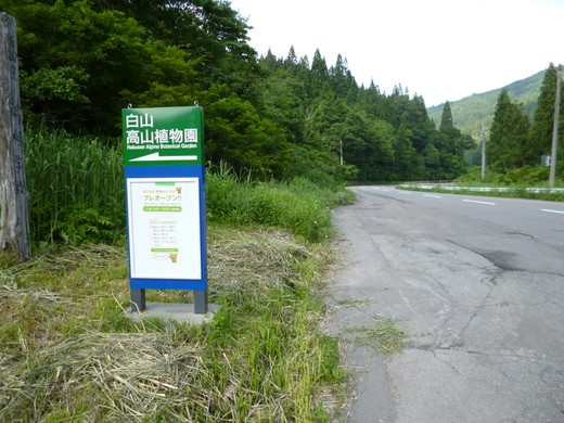 d0231858_656181.jpg