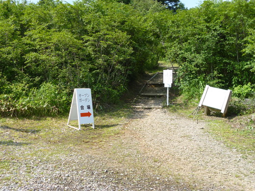 d0231858_658126.jpg