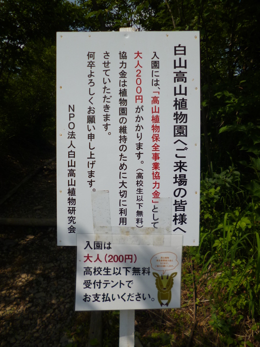 d0231858_714825.jpg